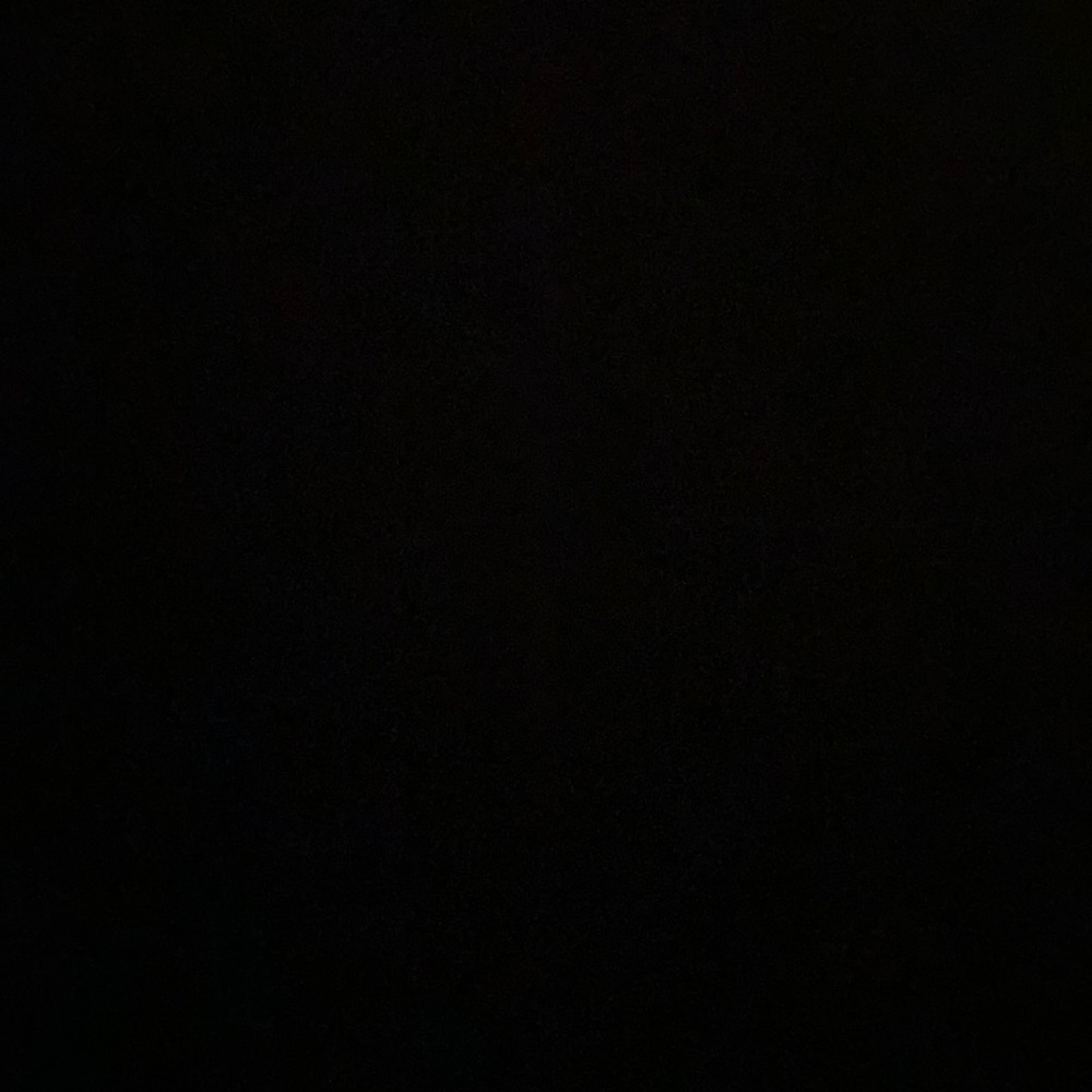 Meet your Posher, Lily